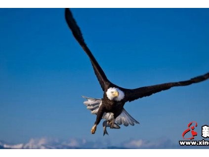 雄鷹展翅傲蒼穹！康力學(xué)院“雄鷹”管理培訓(xùn)班正式拉開帷幕