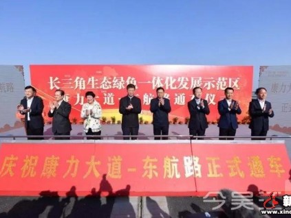 5分鐘到上海！長三角示范區(qū)康力大道東延工程正式通車