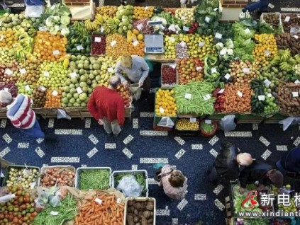 菱王工程 | 穩(wěn)！全力服務(wù)，穩(wěn)產(chǎn)保供，促進廣西“菜籃子”工程再上新臺階