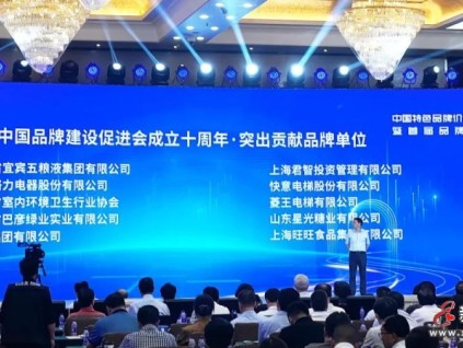 菱王電梯榮獲“突出貢獻品牌單位”榮譽，實力助推中國品牌建設