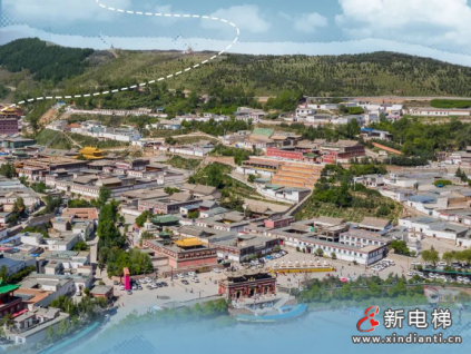 更穩(wěn)的守護｜西寧外貿新動能@菱王！