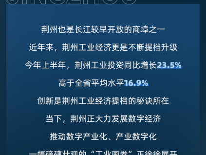 更穩(wěn)的守護(hù)｜省級重點(diǎn)項(xiàng)目，用菱王！