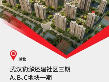 中建三局&40臺康力電梯，武漢重大民生工程！