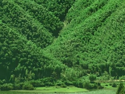 50臺(tái)丨森赫電梯以全場(chǎng)景解決方案助力“生命健康”新未來(lái)