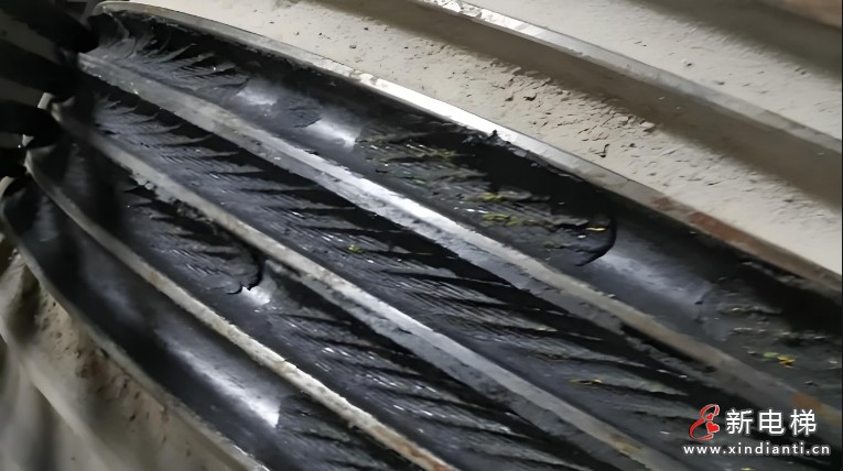 微信截圖_20241230102759