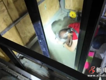 安徽蚌埠某別墅電梯一名女工在測(cè)試時(shí)轎廂突然下降被壓電梯轎廂底部