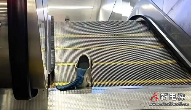 微信截圖_20250711112315