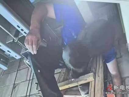 廣東東莞 一人單獨在井道內(nèi)維保時 未關(guān)停開關(guān) 未戴頭盔系安全帶 被擠壓身亡