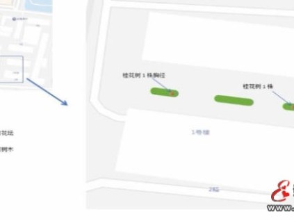 上海崇明區(qū)一小區(qū)科學(xué)規(guī)劃與多方協(xié)作 實(shí)現(xiàn)"一改三得"示范樣本