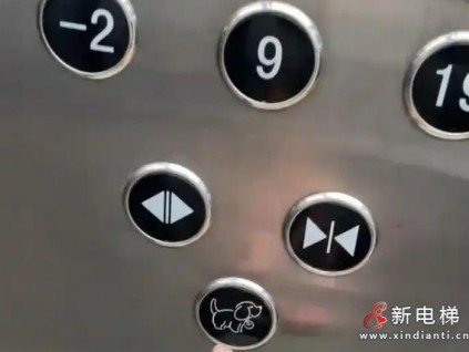 沈陽(yáng)一小區(qū)電梯增設(shè)小狗按鈕，人性化設(shè)計(jì)化解鄰里矛盾