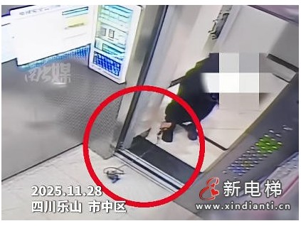 四川樂山一業(yè)主無心之失釀險情 寵物繩卡電梯致急停！